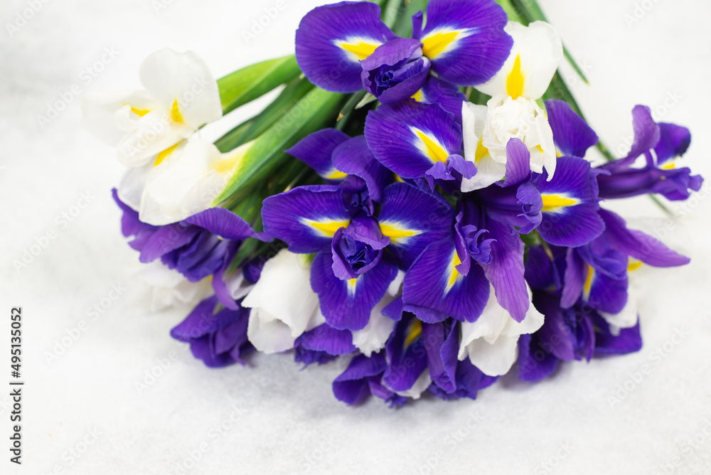 bouquet of lilac and white irises on a grey background. Horizontal view. Spring bouquet. Macro photo. bouquet of lilac and white irises on a grey background. Horizontal view. Spring bouquet. Macro photo.