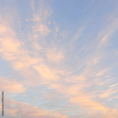 Canvas Print Clear blue sky with glowing pink cirrus and cumulus clouds after storm at sunset