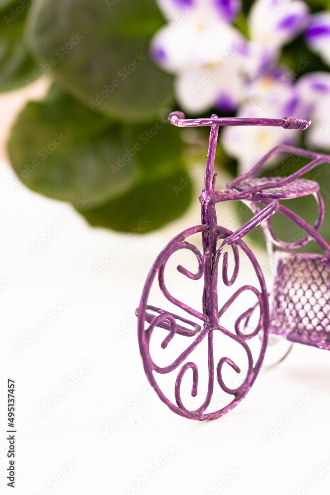 Decorative purple-painted bicycle in retro style, white und purple flowers on white background , copy space
