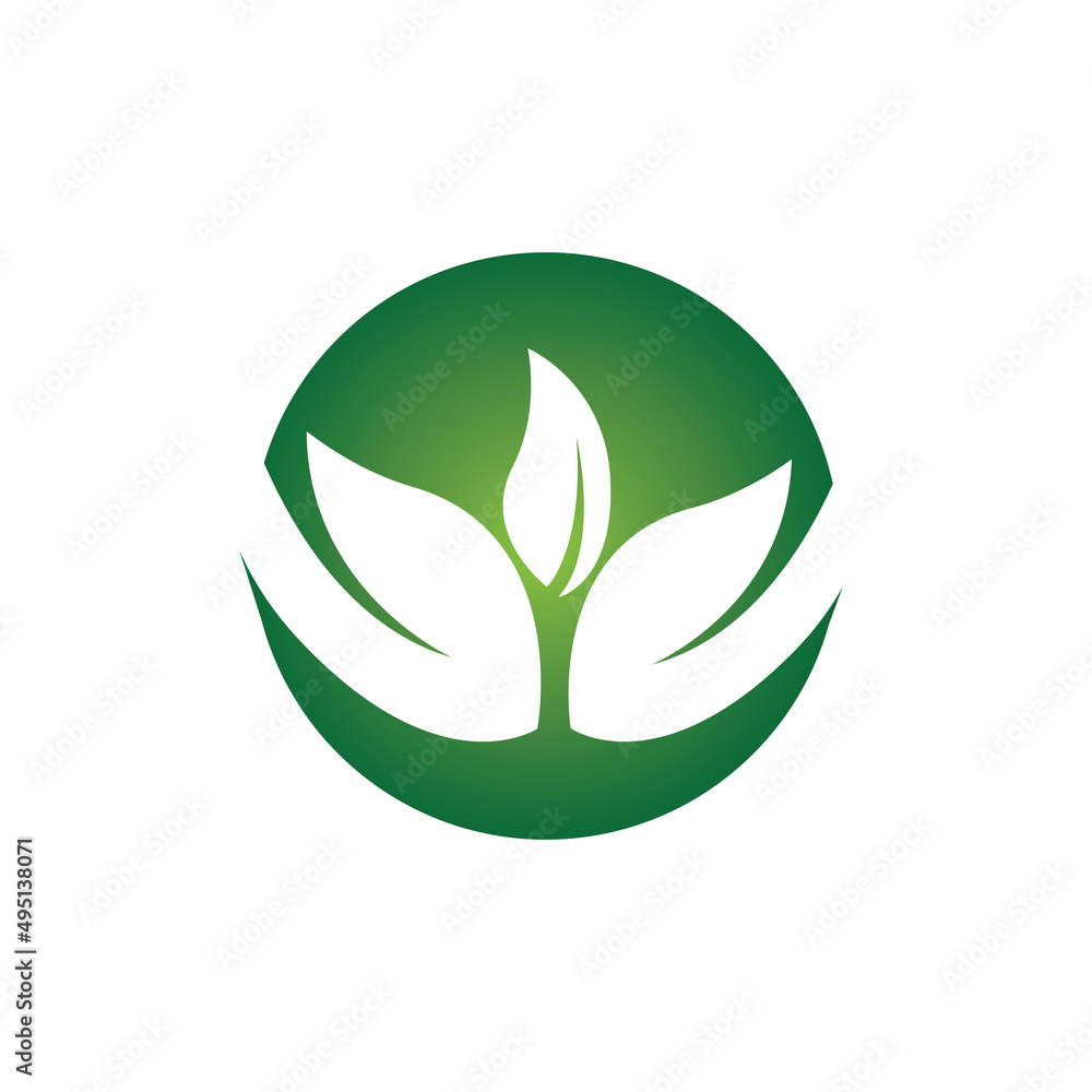 leaf logo vector template symbol and design icon