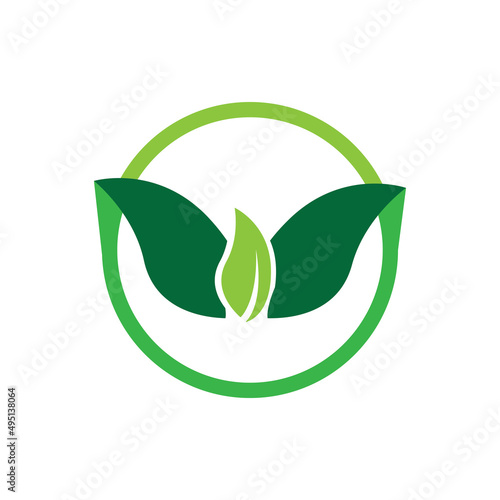 leaf logo vector template symbol and design icon