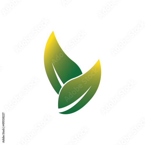 leaf logo vector template symbol and design icon