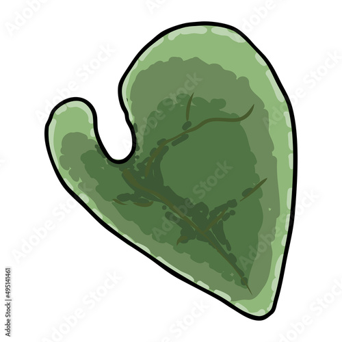 Chelsea Wax Plant green leaf. Hoya Carnosa Krinkle leaves. Succulent lush. Vector.