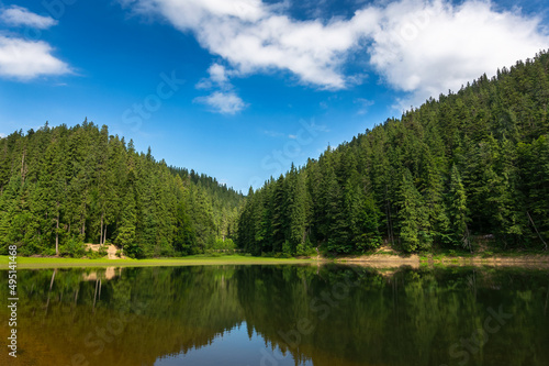 landscape with calm lake in summer. forest reflection in the water. beautiful travel background of synevyr  ukraine. tranquil green nature scene. sunny outdoor environment