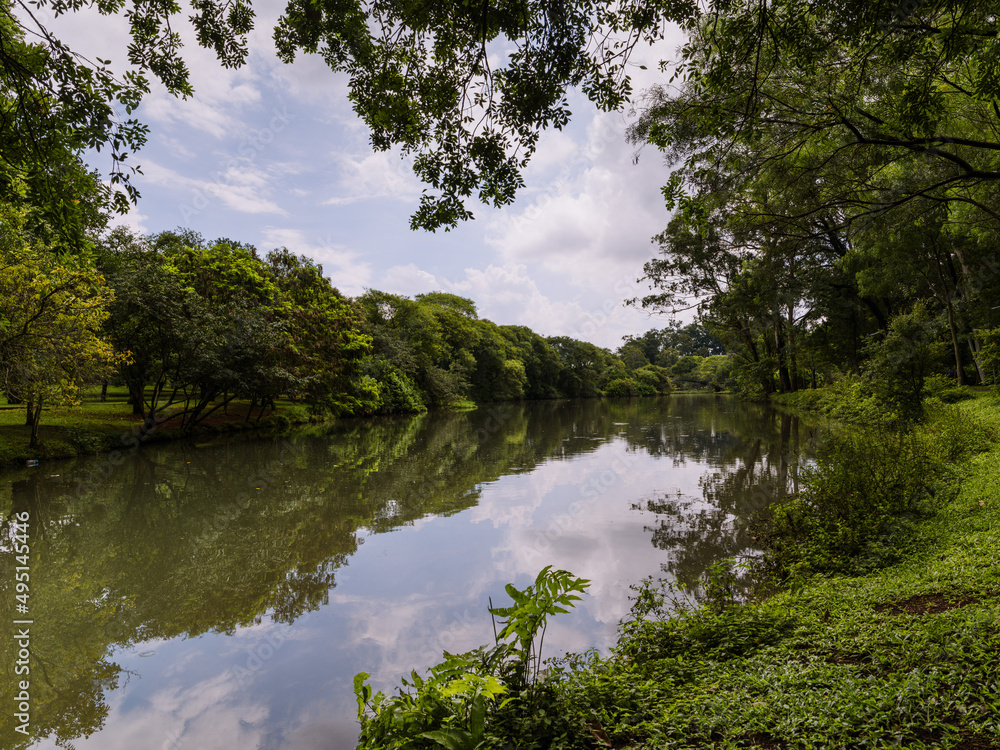 Rio ou riacho com vegetação de entorno em imagem que inspira tranquilidade e descanso.