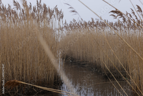 Fog in the marshlands near the coast in Portsmouth New Hampshire