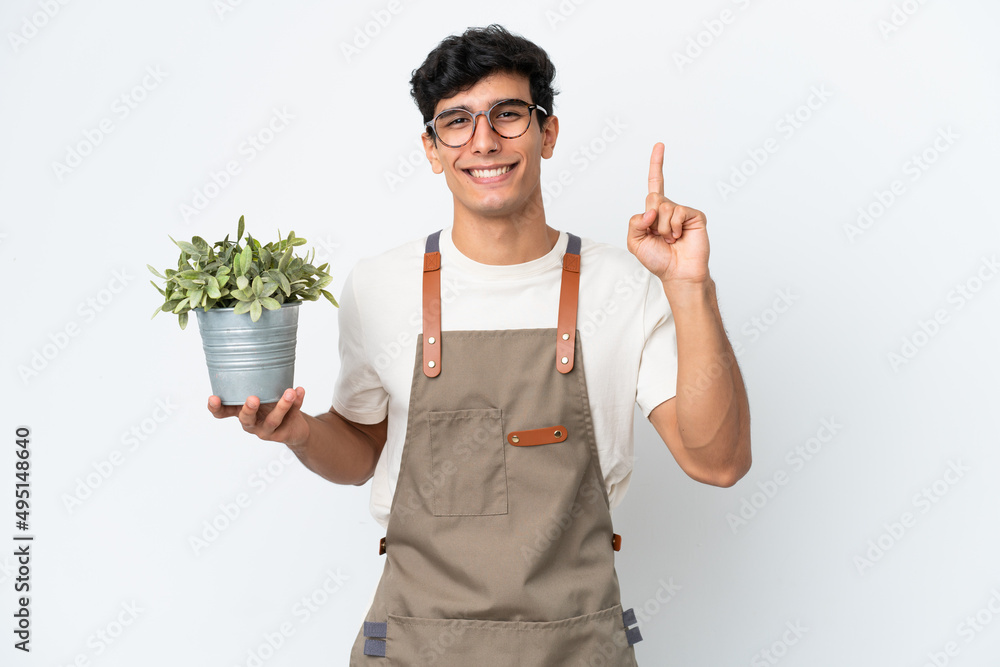 Gardener Argentinian man holding a plant isolated on white background pointing up a great idea Gardener Argentinian man holding a plant isolated on white background pointing up a great idea