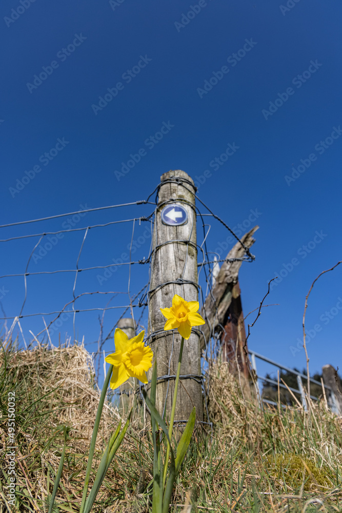 Vinegar Hill and Craignamaddy Loop, Barnes Gap, Ulster Way