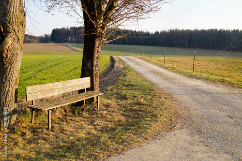 a view with an old wooden bench in the German countryside on a sunny spring day in Birkach, Bavaria (Germany) photo