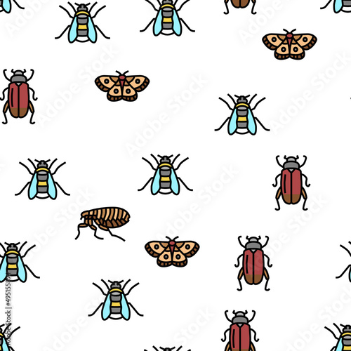 Insect, Spider And Bug Wildlife Vector Seamless Pattern Thin Line Illustration
