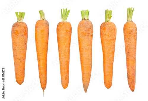carrot path isolated on white