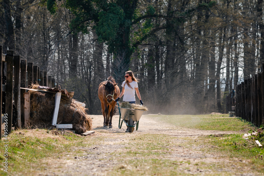 Beautiful young woman walks down the road with a horse and wheelbarrow on a ranch, transporting hay, food for cattle