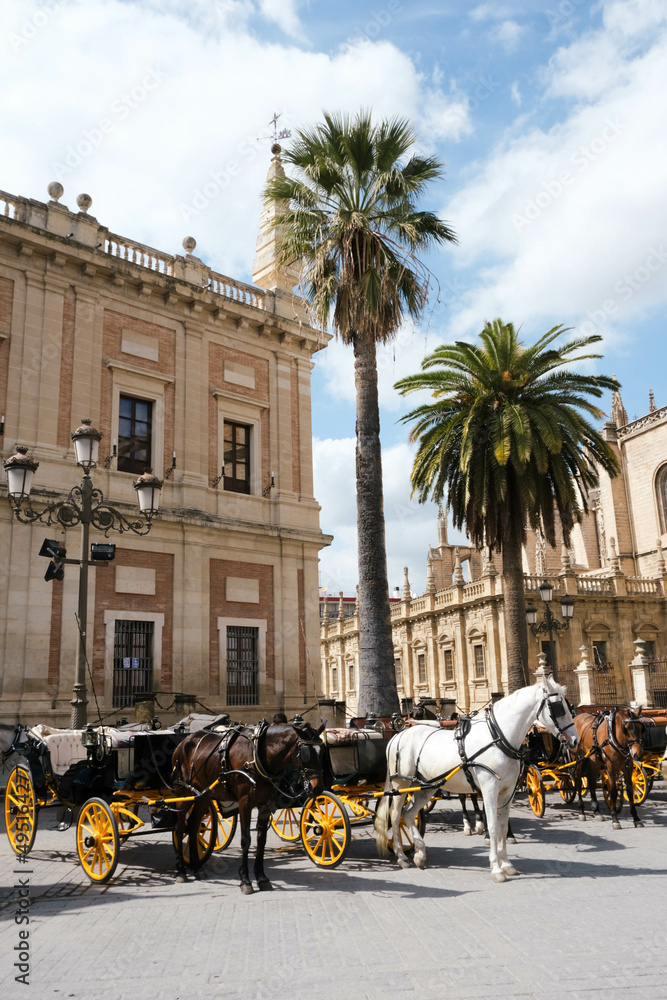Fototapeta premium Sewilla