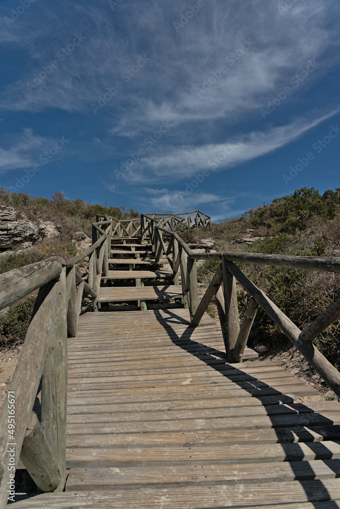 Fototapeta premium Steg zum Meer | West Coast National Park