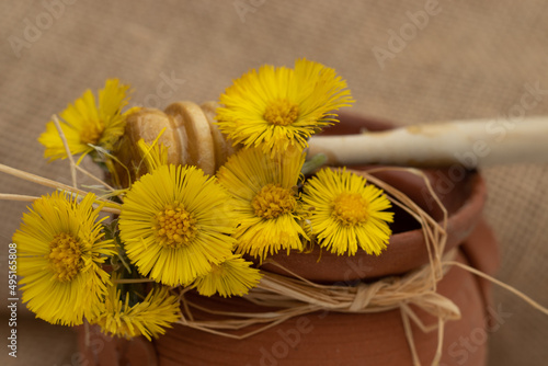 A Bottle of Honey with the flower Coltsfoot medicinal. Tussilago farfara photo