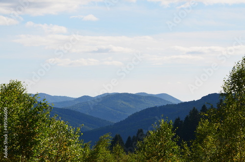 forest and sky. mountains Carpathians in Ukraine.