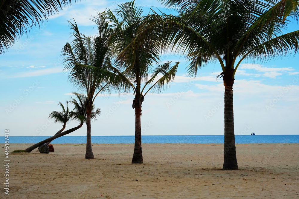 Tranquil sand beach with coconut trees by the sea under cloudy blue sky Tranquil sand beach with coconut trees by the sea under cloudy blue sky