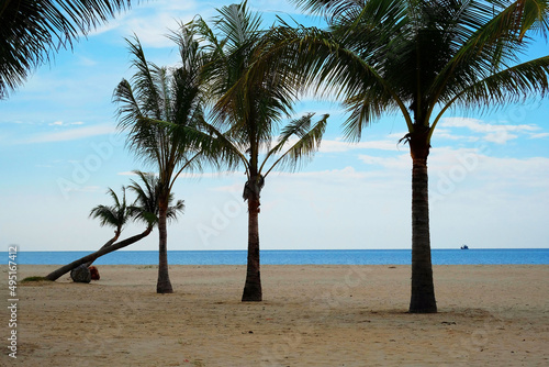 Tranquil sand beach with coconut trees by the sea under cloudy blue sky