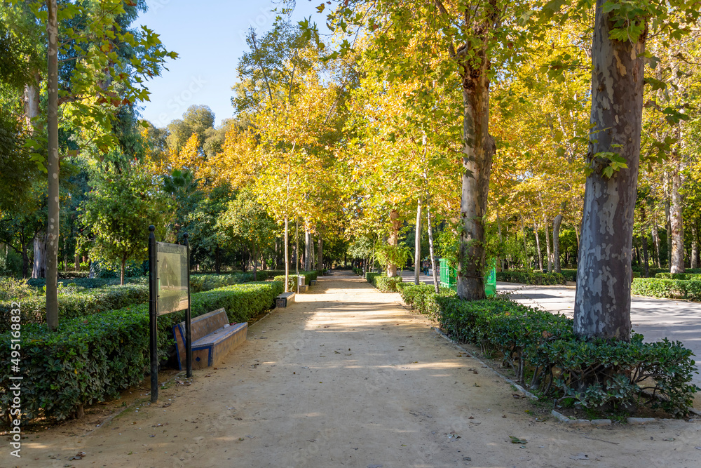 Autumn afternoon at the urban Maria Luisa Park in downtown Seville, Spain.