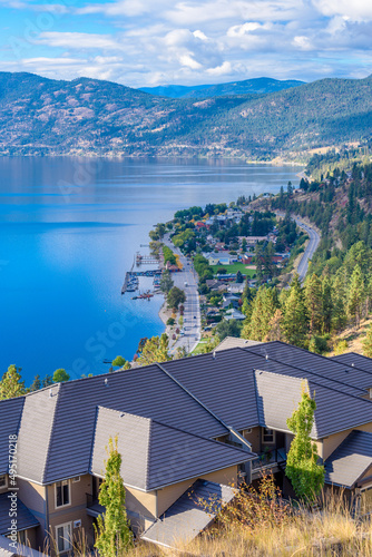 Neighbourhood of luxury houses with street road, big trees and nice landscape