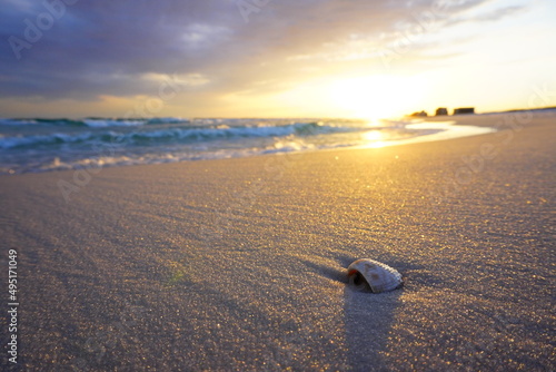 Seashell on the beach