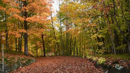 Beautiful Fall Colours (Colors) with Rustling and Falling Leaves