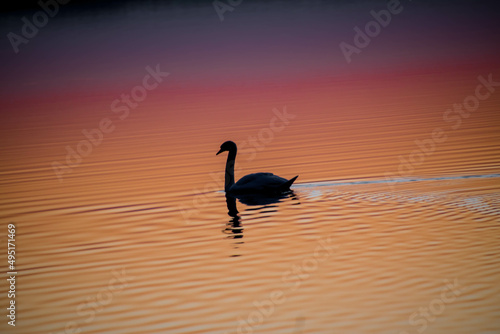 Zachód słońca nad jeziorem © Daniel
