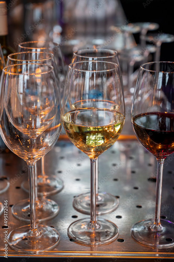 Many glasses of white and red white served for party or celebration Many glasses of white and red white served for party or celebration