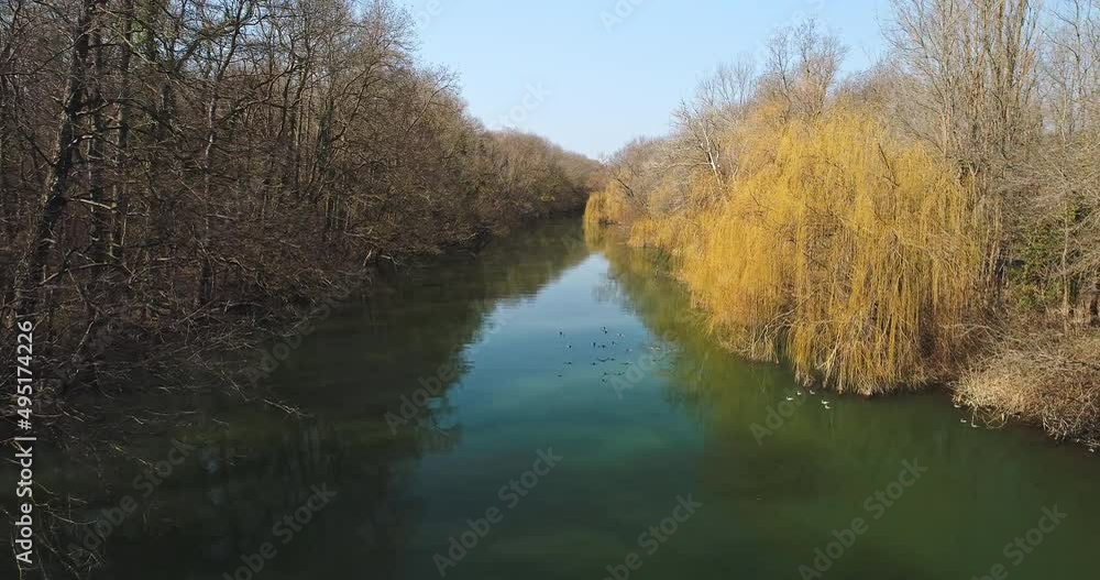 Aerial view of Kamchiya River at the Black sea coast, Bulgaria and flying water ducks by winter spring season