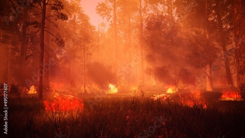 Photo Burning Fires in the Forest 3d rendering