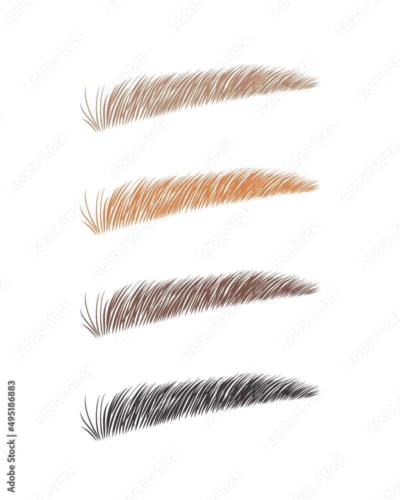 Female eyebrows in various colors. Blonde, red and dark hair. Sable style  brows shapes. Linear vector Illustration in trendy minimalist style. Brow  bar logo. Stock Vector | Adobe Stock