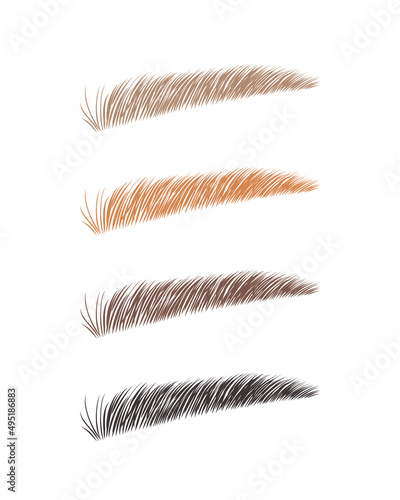Female eyebrows in various colors. Blonde, red and dark hair. Sable style brows shapes. Linear vector Illustration in trendy minimalist style. Brow bar logo.