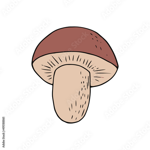 boletus mushroom hand drawn in doodle style. single element for design card, icon, poster, vector, monochrome, minimalism. nature, plant, food.