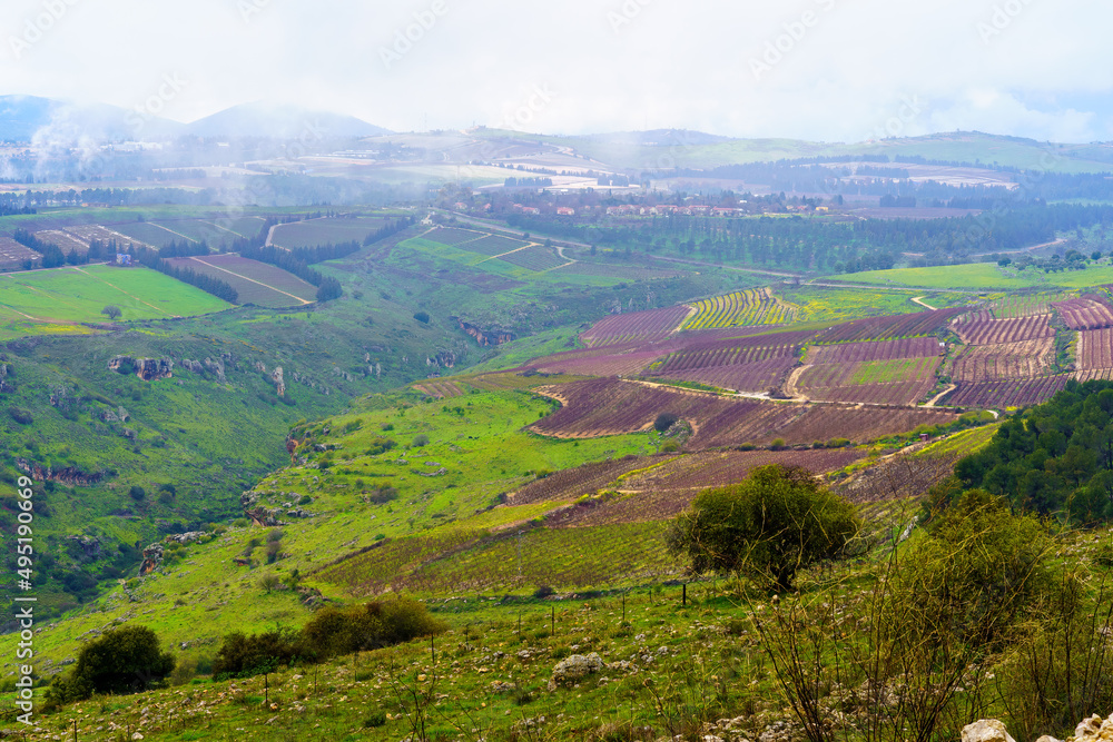 Landscape and countryside of the Dishon valley, Upper Galilee