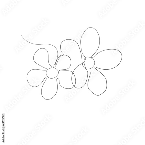 Floral silhouette art line. Flowers in continuous line drawing style. Border with tropical flower. Minimalist black linear sketch. Trendy vector illustration isolated. Contour graphics for design © Alla