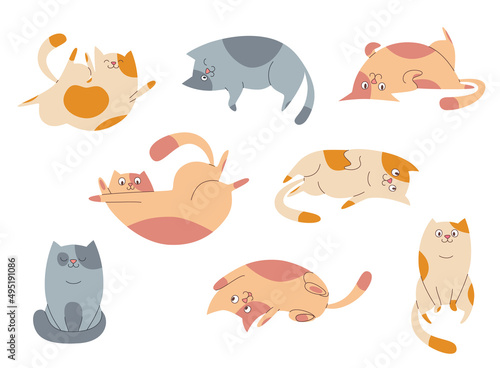 Set of cute cat characters, cartoon style, vector flat illustration, isolated.

