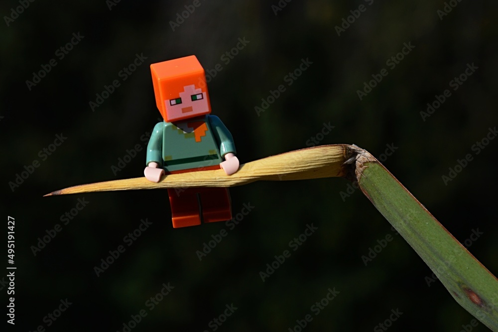 Obraz premium LEGO Minecraft figure of Alex traversing on tip of partially dried leaf of Yucca tree, dark background.