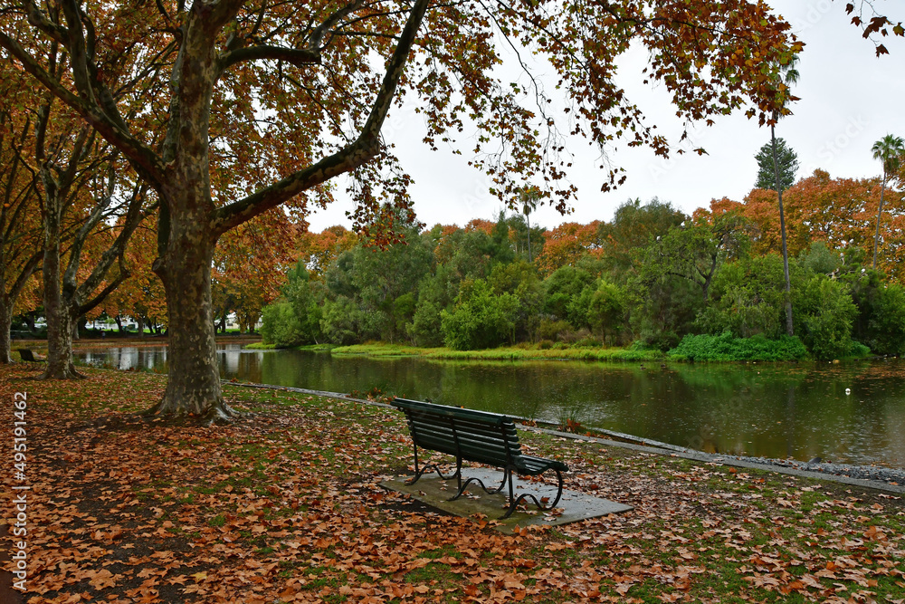 Autumn trees in Hyde Park Perth Western Australia