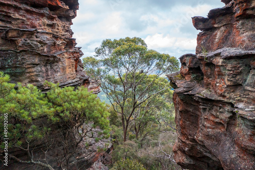 Drone aerial photograph of a cliff face and trees in Australia.