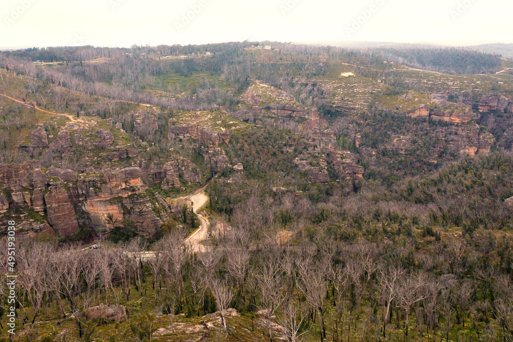 Drone aerial photograph of trees affected by severe bushfire in Australia