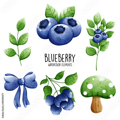 watercolor blueberry, vector illustration