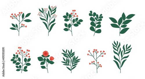 Doodle hand drawn leaf collection for background, wedding invitation ornament, social media post background, thank you card
