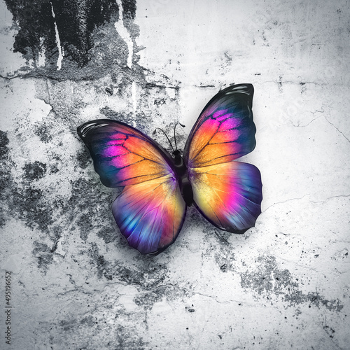 Carta da parati con effetto di cemento - Carta da parati Beautiful Butterfly On Wall