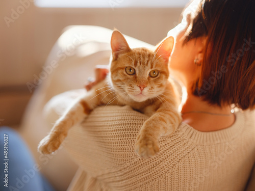 Young asian woman wears warm sweater resting with tabby cat on sofa at home one autumn day. Indoor shot of amazing lady holding ginger pet. Morning sleep time at home. Soft focus. photo