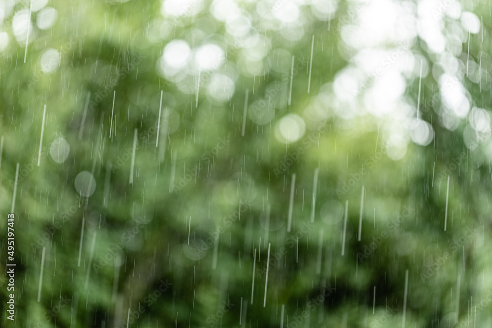 Rain in the summer garden. Unfocused background with falling raindrops.