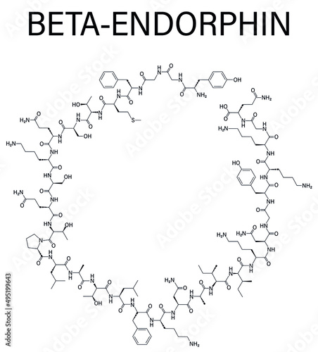 Beta-endorphin endogenous opioid peptide molecule. Skeletal formula.	 photo