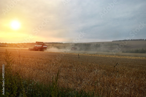 Working harvesting combine in the field of wheat.