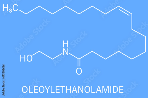 Oleoylethanolamide (OEA) endogenous peroxisome proliferator-activated receptor alpha (PPAR-Î±) agonist molecule. Skeletal formula. photo