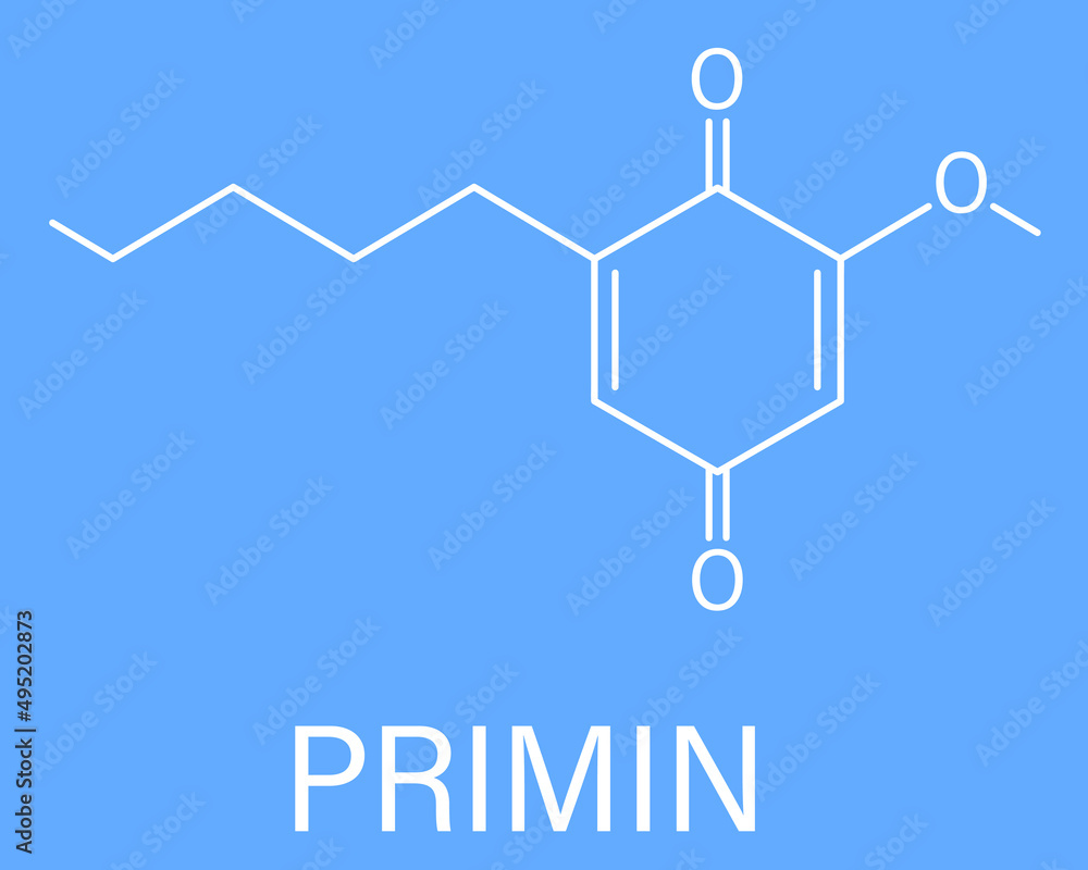 Primin primrose plant allergen molecule. Skeletal formula.
Primin primrose plant allergen molecule. Skeletal formula.