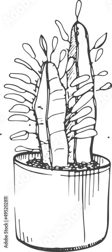 Cactus in Flower Pot Line Art Monochrome Illustration 